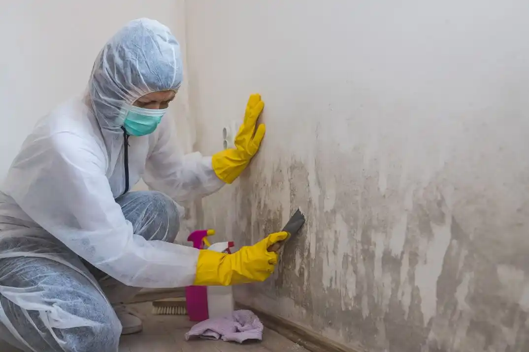 water damage restoration service Arcadia Park